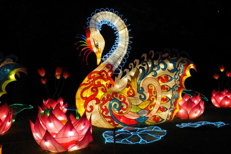 Intricate lanterns shaped like swans and lotus blossoms at a Yuan Xiao Jie celebration.