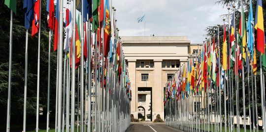 United Nations flags