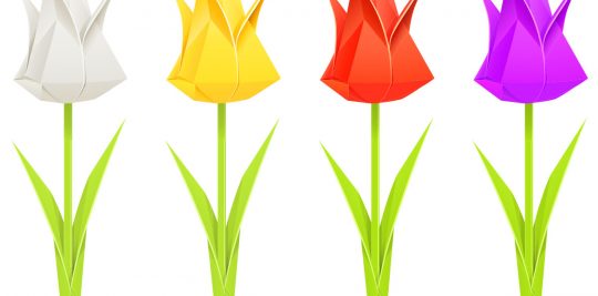 Tulips Origami craft