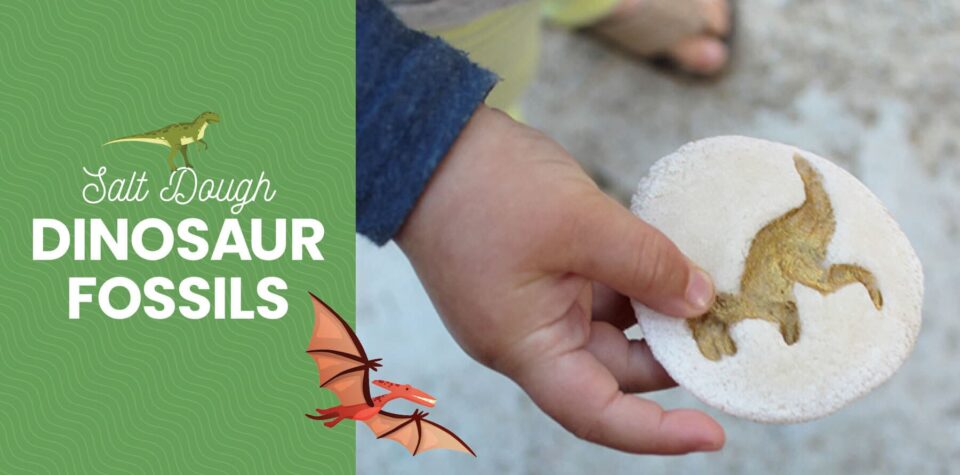 How to Make Dinosaur Fossils Using Salt Dough