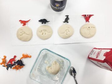 Four completed salt dough fossils with ingredients around them