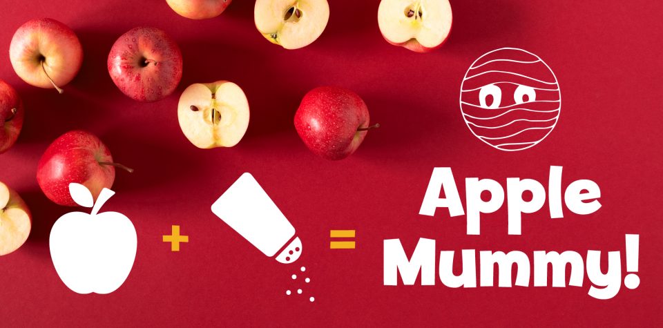 Activity: Make a mummy from an apple
