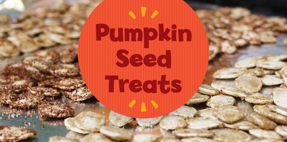 Pumpkin Seed Treats