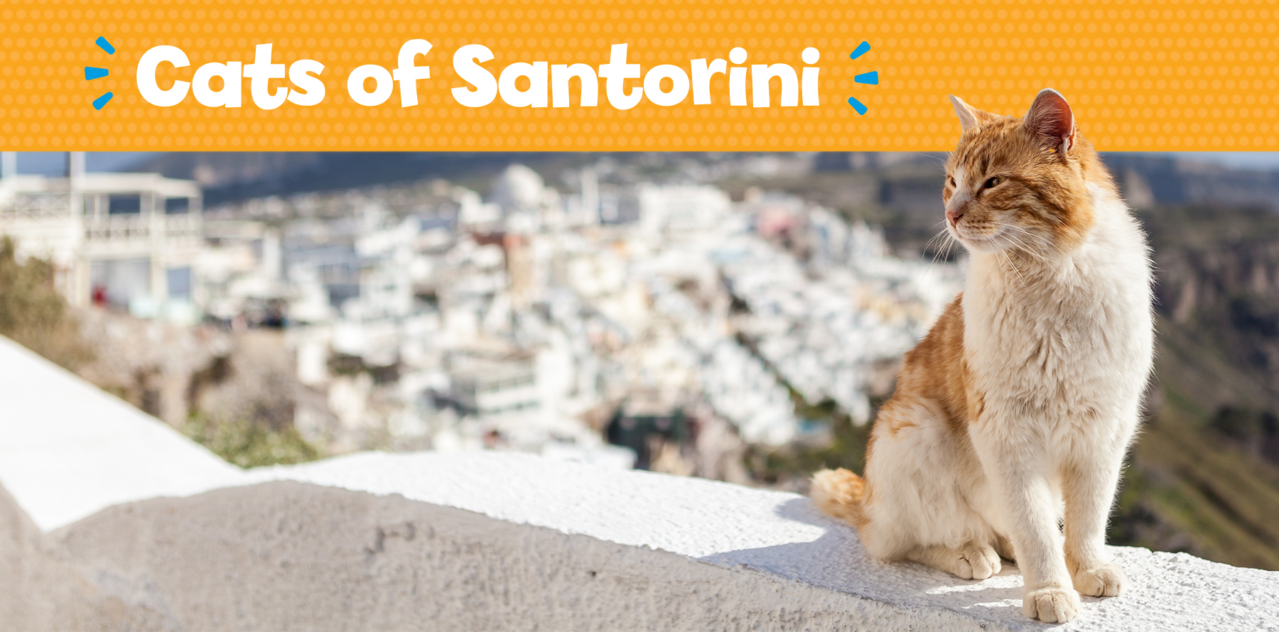 Cats of Santorini Little Passports