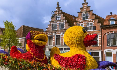 Learn about the Flower Parade of the Bollenstreek, an annual spring parade in Holland