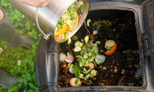 Learn about how composting can reduce waste with Little Passports