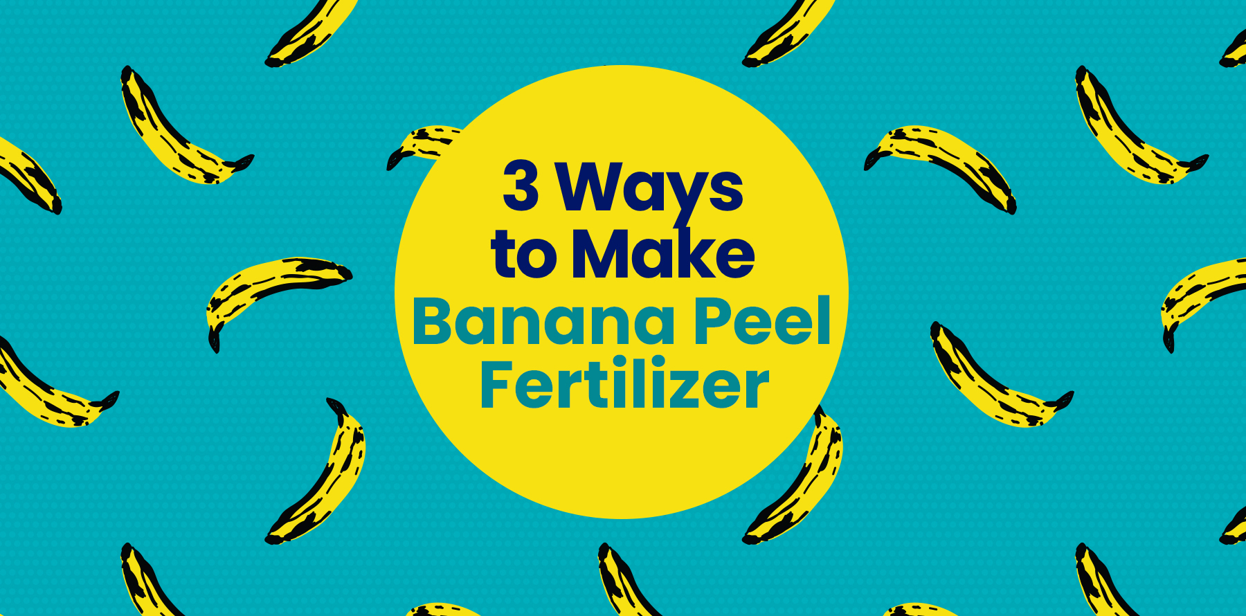 Three Ways to Make Banana Peel Fertilizer Little Passports