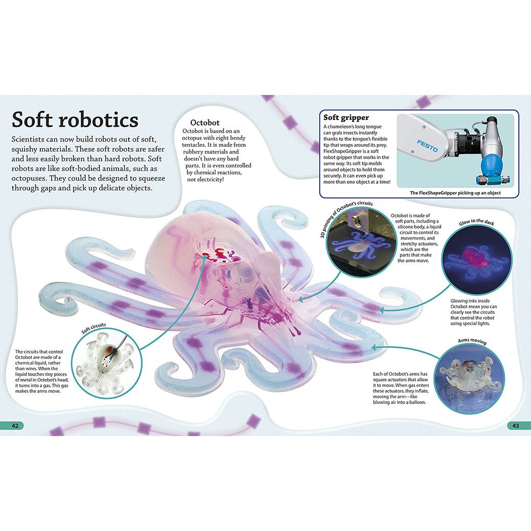 DKfindout! Robots - page view 2