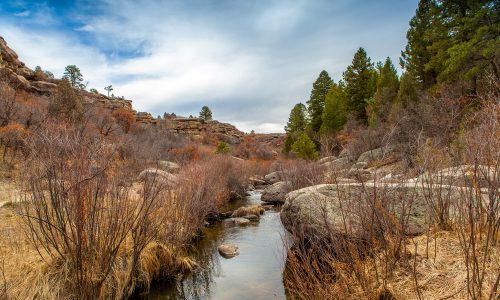 Hike this kid-friendly trail at Castlewood State Park