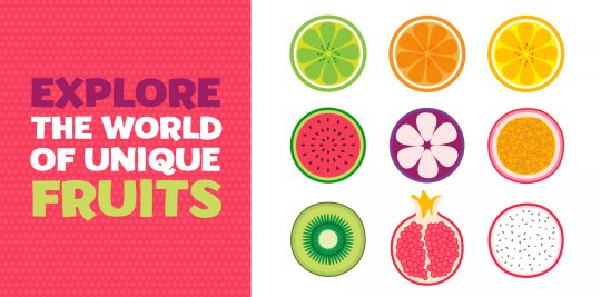 Tour the world through unique fruits with Little Passports