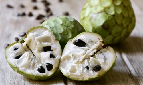 Learn about cherimoya with Little Passports