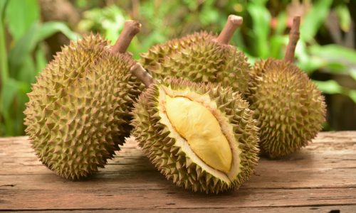 Learn about durian with Little Passports