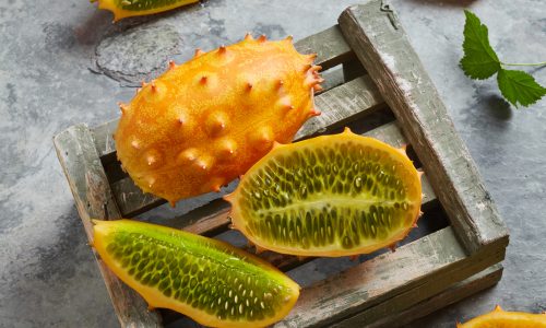 Learn about kiwano with Little Passports