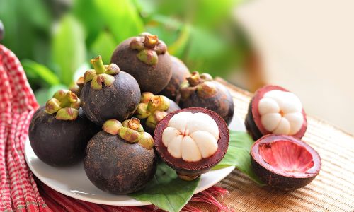 Learn about mangosteen with Little Passports