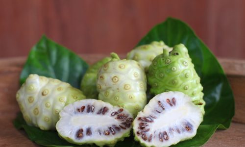 Learn about noni fruit with Little Passports