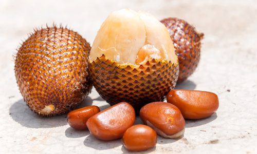 Learn about salak with Little Passports