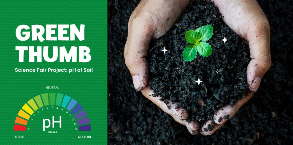 Green Thumb Science Fair Project: pH of Soil