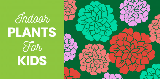 Indoor plants for kids from Little Passports