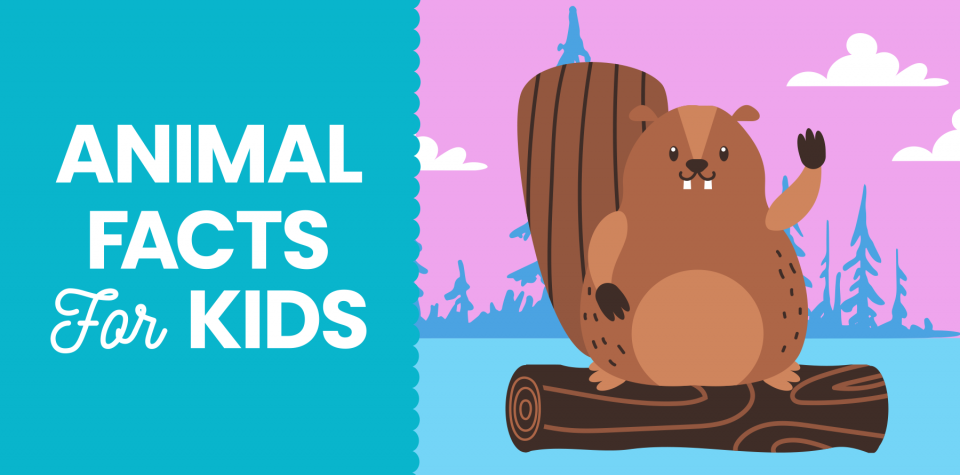 Animal facts for kids from Little Passports