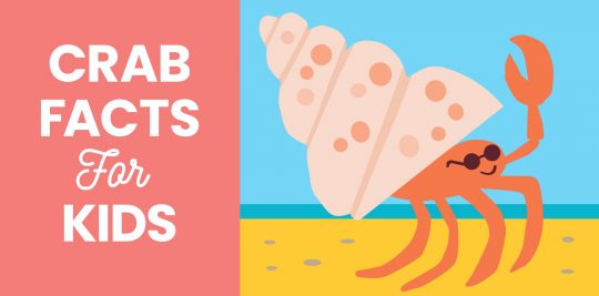 Crab facts for kids from Little Passports
