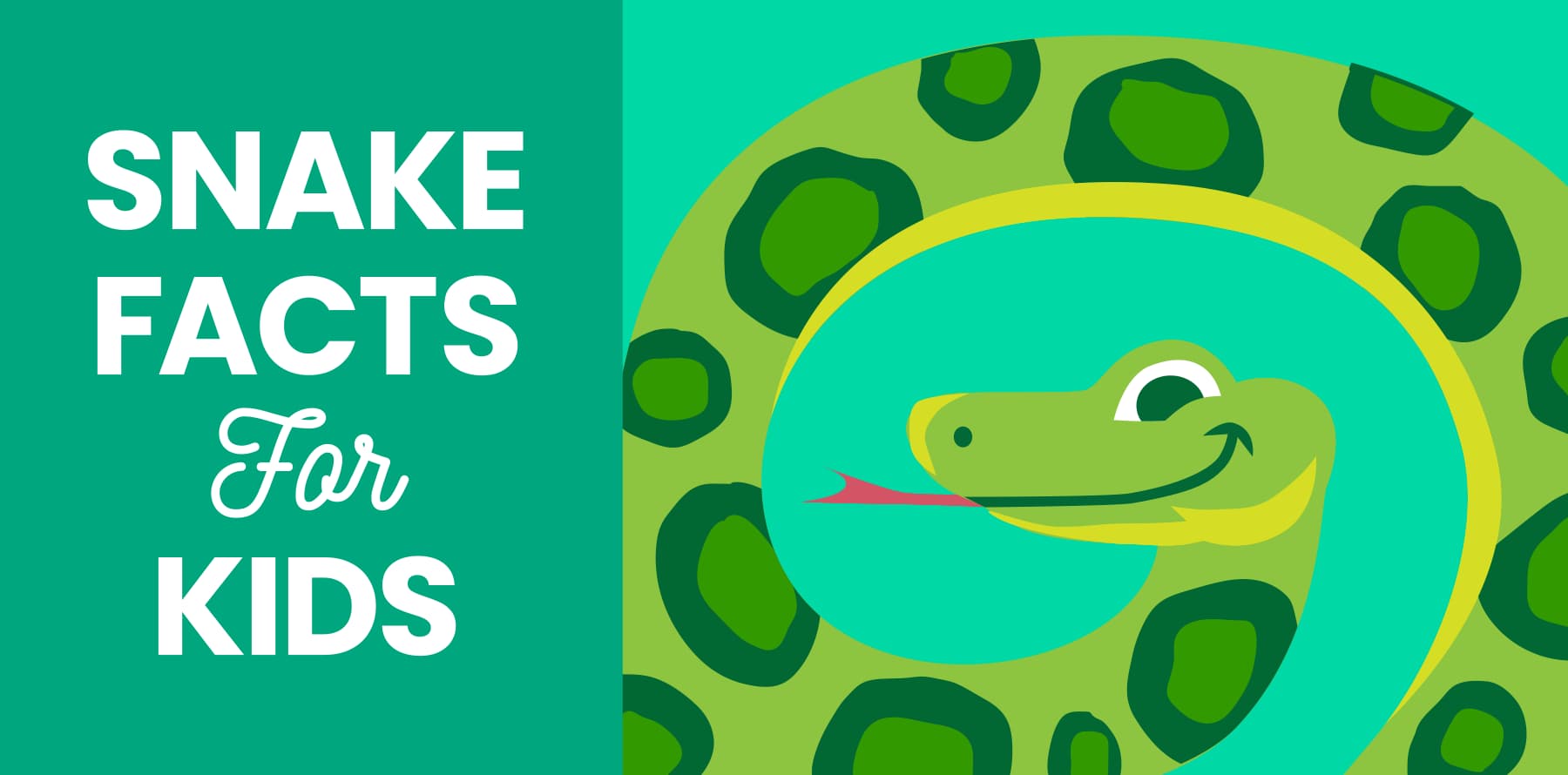 Snake facts for kids from Little Passports