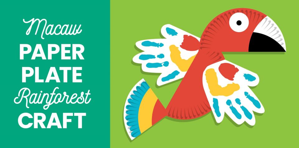 Macaw paper plate rainforest craft from Little Passports