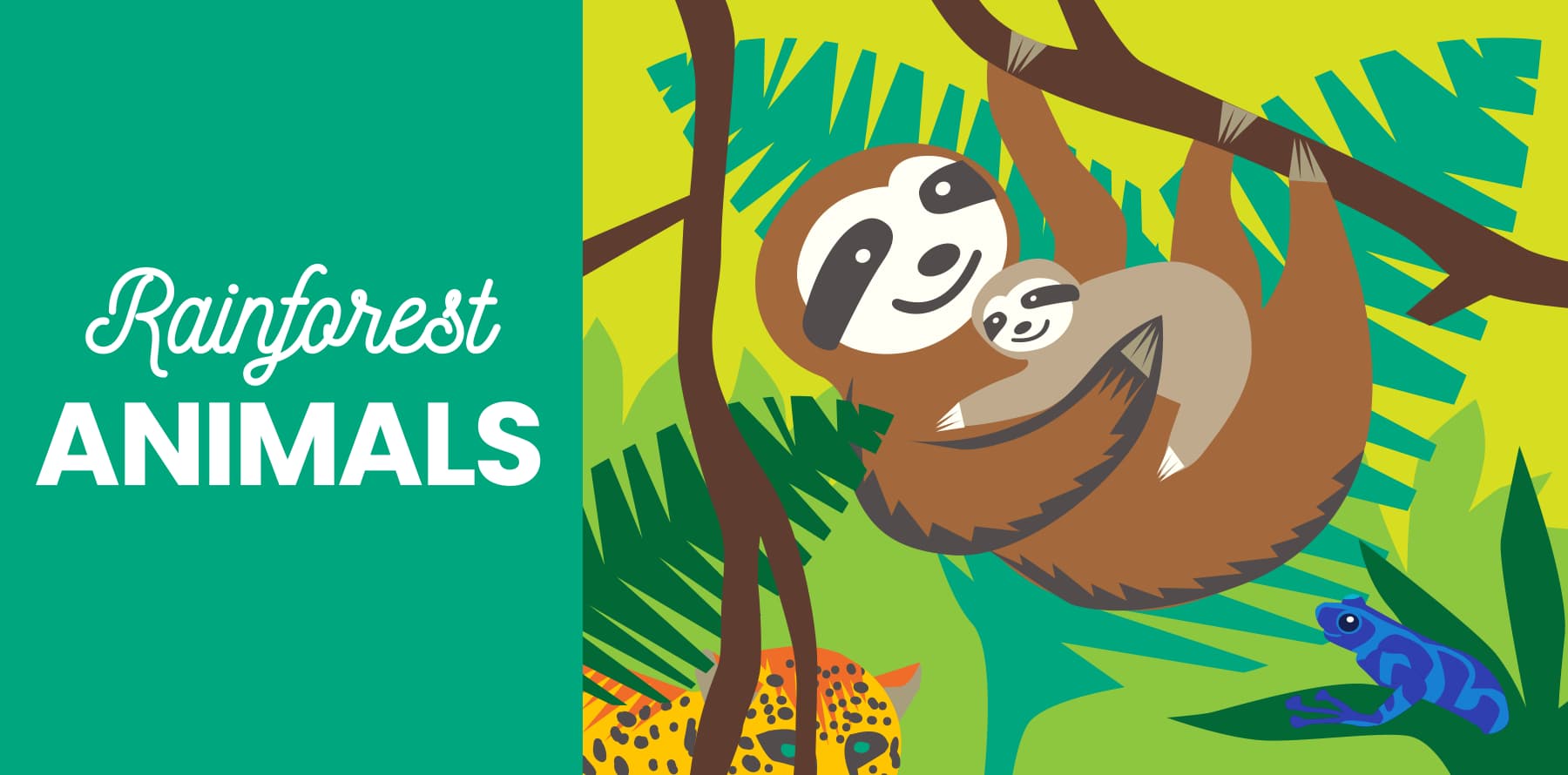 40 Rainforest Animals - Birds, Mammals, and More from Little Passports