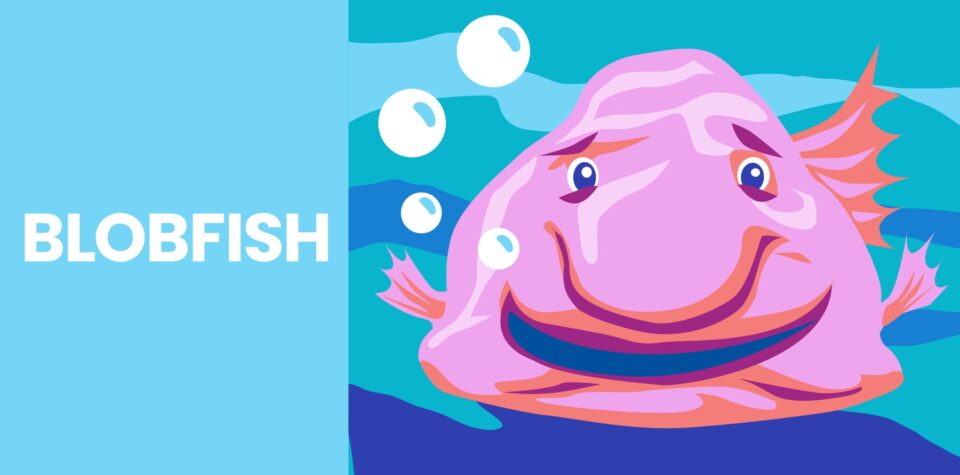 Blog header: Illustrated blobfish on right, text "Blobfish" on left
