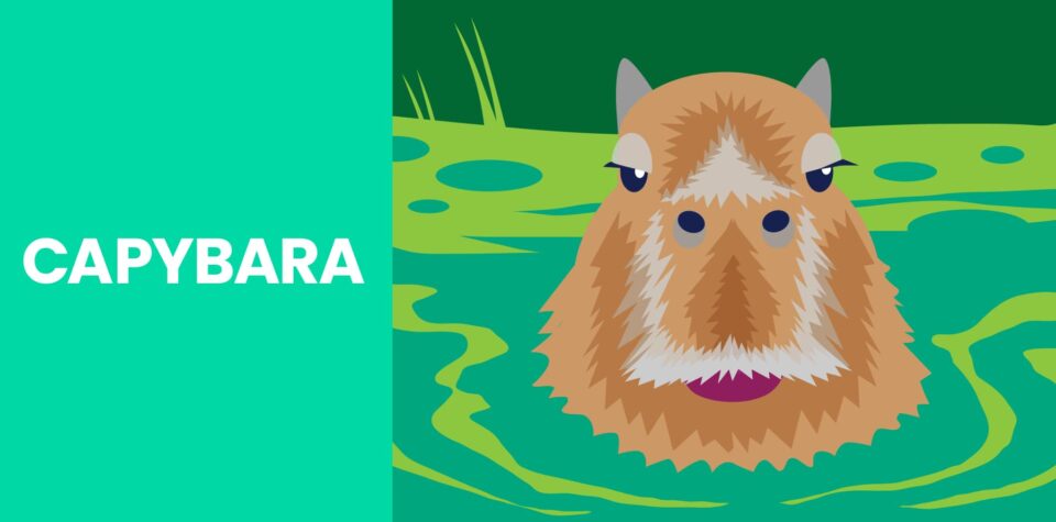 Blog header: Illustration of capybara in water on right, text reading "Capybara" on left
