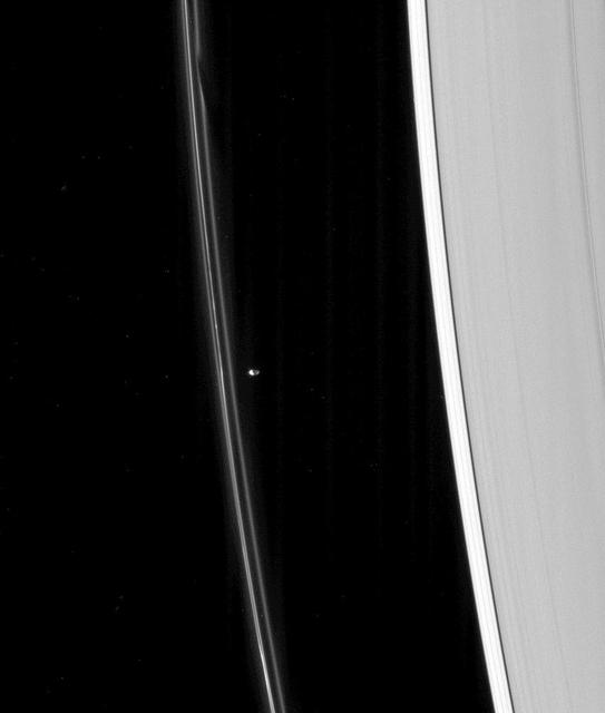 Saturn's rings with one of their "shepherd" moons