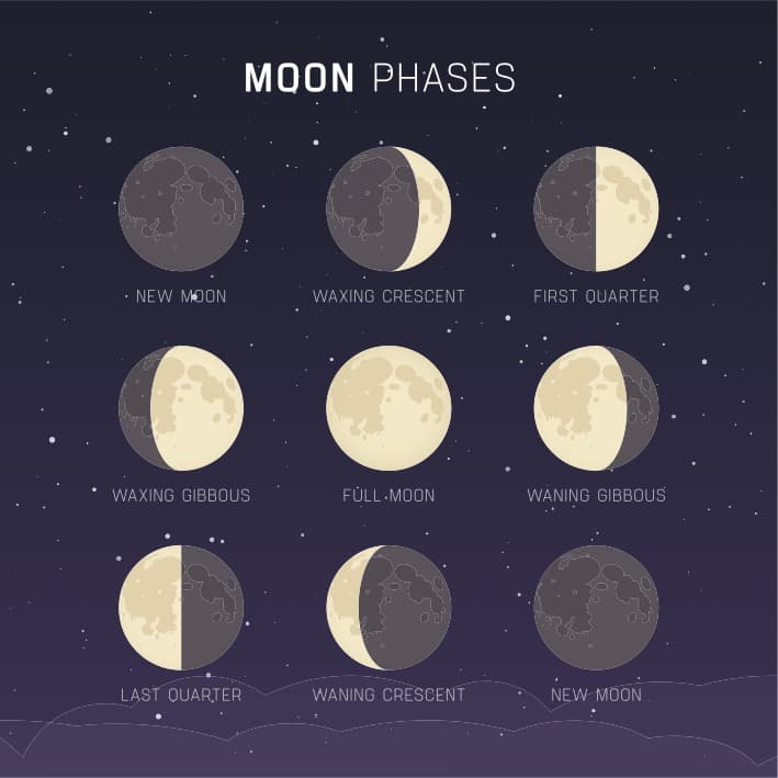 Illustration showing the phases of the Moon
