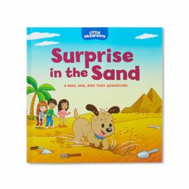 Surprise in the Sand Picture Book Image