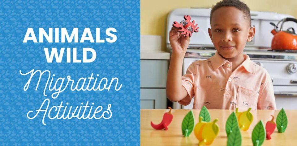 Animals Wild Migration Activities