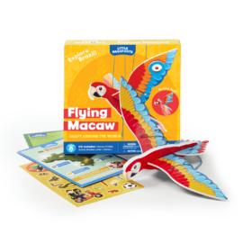 Craft Around the World: Flying Macaw Image