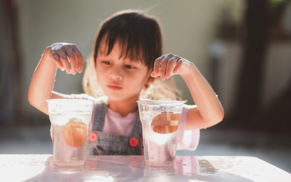 A child conducts the floating egg experiment at a table