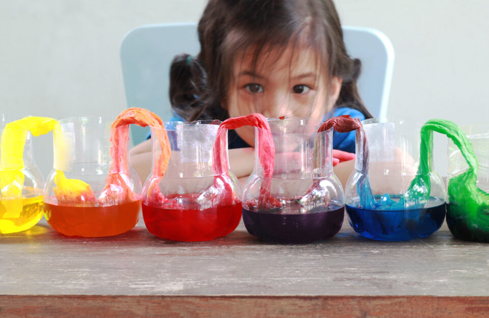 A girl watches the walking rainbow water experiment in action