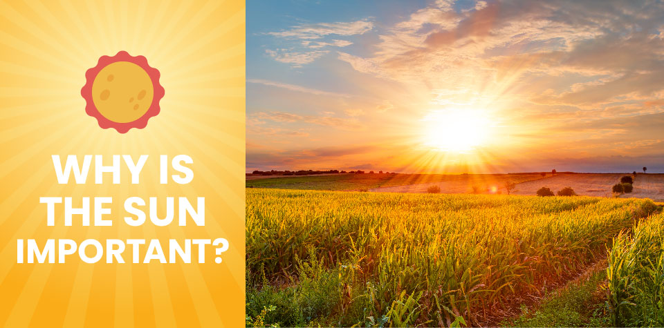 Why Is the Sun Important? Learn the Role It Plays on Earth