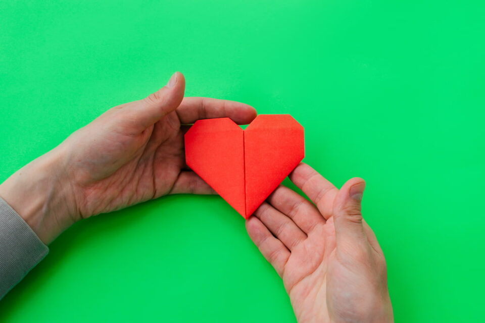 A pair of hands holding a red origami heart on a green background