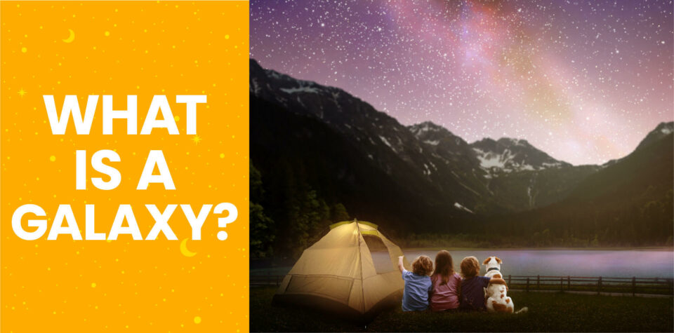 Three kids and a dog sitting next to a camping tent with the Milky Way overhead