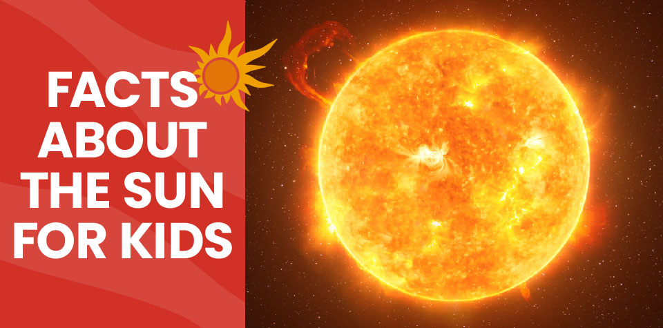 Solar System Facts for Kids (All You Need to Know!)