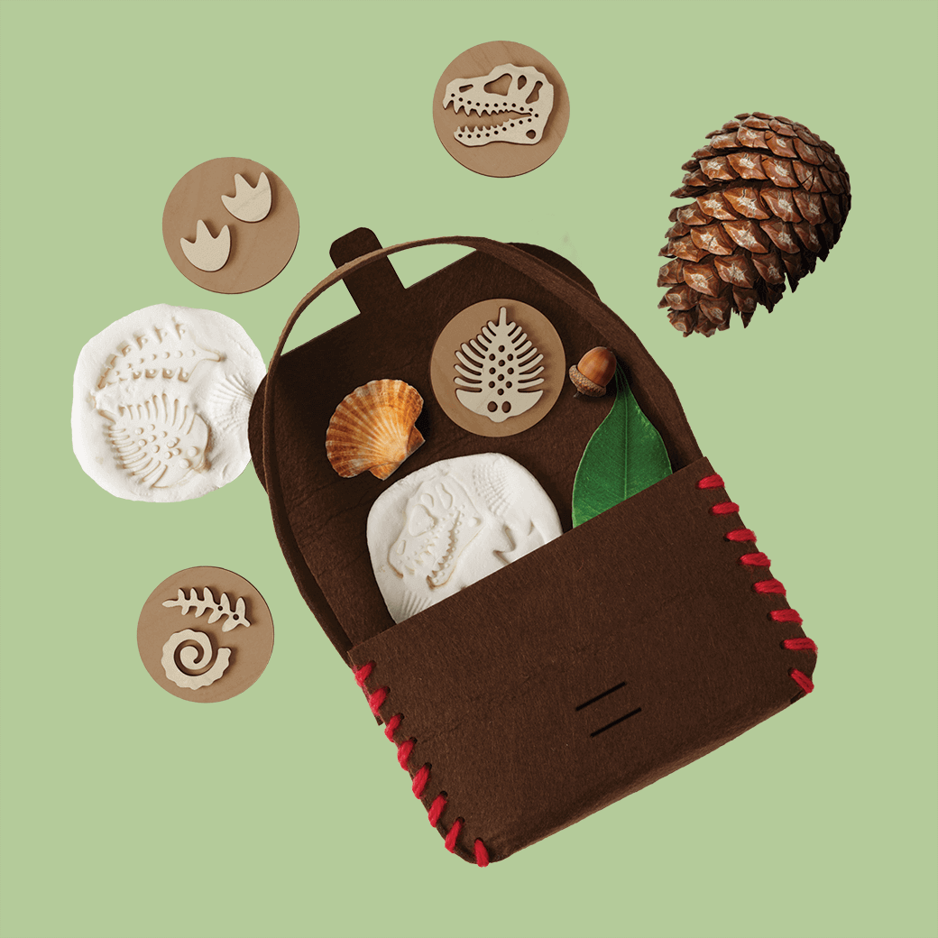 Fossil Kit Image 4