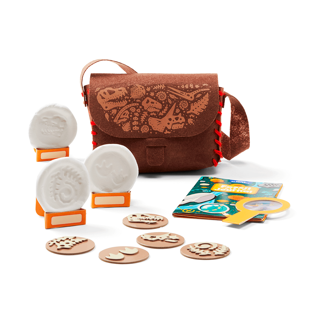 Fossil Kit Image 3