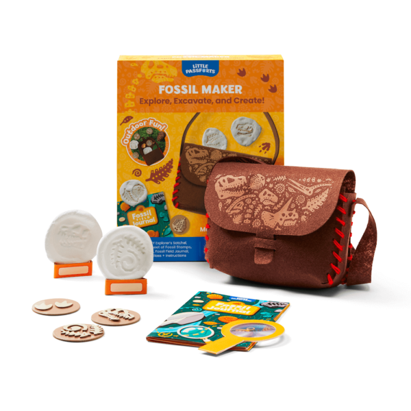 Fossil Kit Image 1