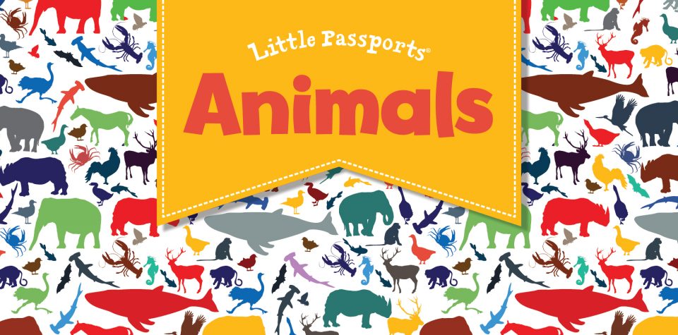 Animals activities for kids