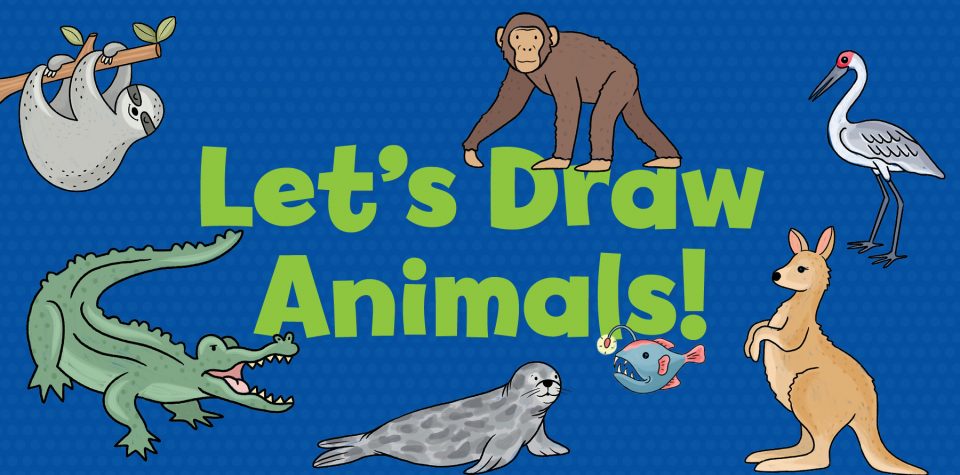 Step-by-step Drawing Tutorial: Animals