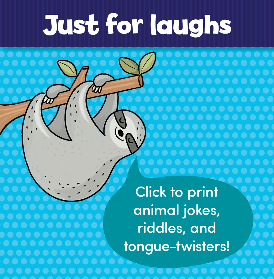 Animal Jokes and Riddles