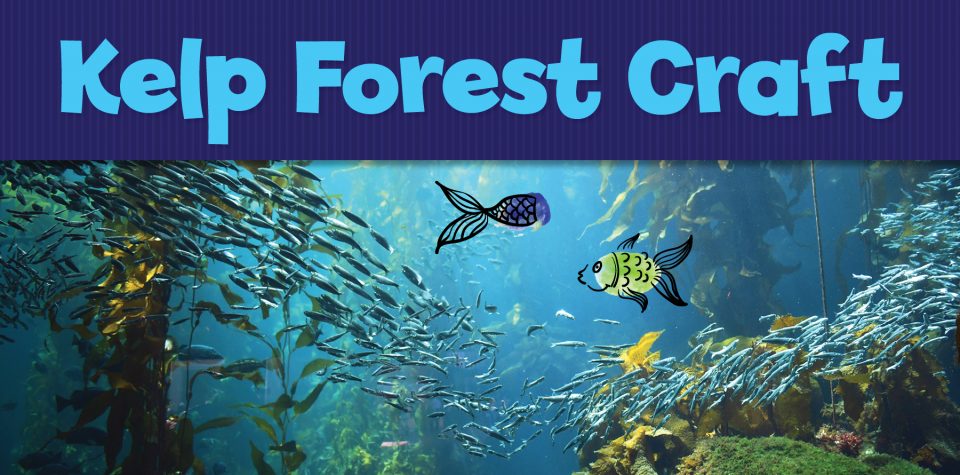 Kelp Forest Fingerprint Critter Craft