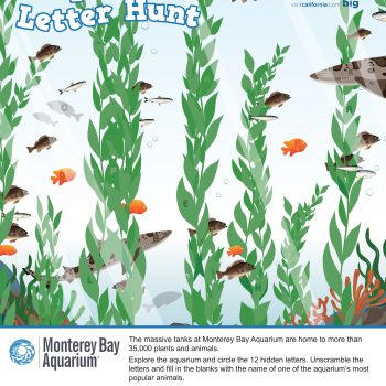 Monterey Bay Aquarium Printable Activity