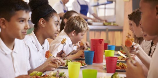 School lunches around the world