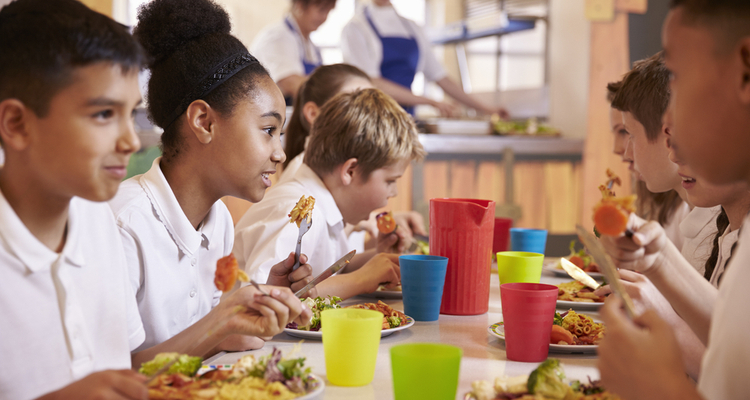 School lunches around the world